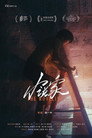 The Novelist