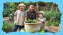 Feeding the Garden