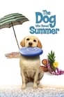 The Dog Who Saved Summer poster