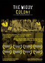 The Widow Colony: India's Unsettled Settlement