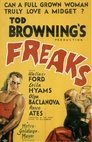 6-Freaks