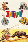 Хатарі!
