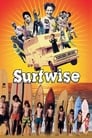 Poster for Surfwise