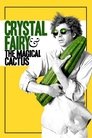 Poster for Crystal Fairy & the Magical Cactus