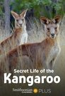 Secret Life of the Kangaroo Episode Rating Graph poster