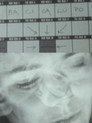 Lingue di luce – M. Bacigalupo racconta il suo cinema