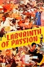 Movie poster for Labyrinth of Passion (1982)
