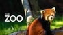2017 - The Zoo thumb