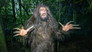 Imagen Secretos de los neandertales
