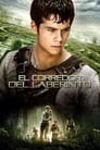 Maze Runner: Correr o Morir (2014)