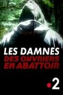 Les damnés des ouvriers en abattoir