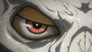 A Wolf Is Born