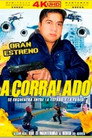 Acorralado