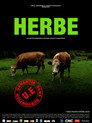 Herbe