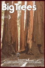Big Trees