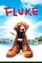 Fluke poster