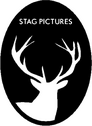 Stag Pictures Stag Pictures