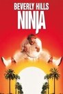 Beverly Hills Ninja poster