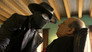 Image Spider-Noir (2026) Temporada 1 HD 1080p Latino Castellano