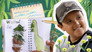 Tree Diary