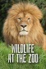 Wild Life At The Zoo Episode Rating Graph poster