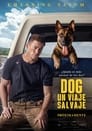 Image Dog. Un viaje salvaje