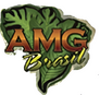 AMG Brasil AMG Brasil
