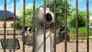 The Zoo 1