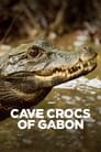 Gabon : dans les grottes des crocodiles orange