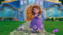 Sofia and the Magical Castle Pets