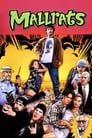 Movie poster for Mallrats