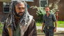 Image The Walking Dead