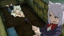 Image Chainsmoker Cat