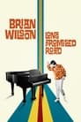 Poster van Brian Wilson: Long Promised Road