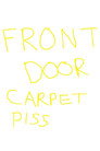 front door carpet piss