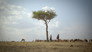 The Environmental Impacts