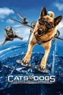 Cats & Dogs – Die Rache der Kitty Kahlohr