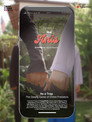 Hai Anis