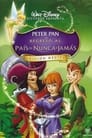 Imagen de Peter Pan en Regreso al País de Nunca Jamás