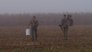 Southern Traditions: Virginia Doves