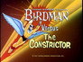 Birdman Versus the Constrictor