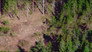 Car chase ends in the woods