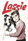 Lassie - seizoen 12