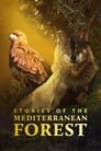 Las historias del bosque mediterráneo