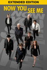 3-Now You See Me