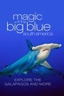 The Magic of the Big Blue Episode Rating Graph poster