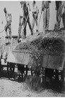 Arrivée Et Déchargement D’un Train De Gravier (1897) In Streaming Ita /Altadefinizione Film Senza Limiti