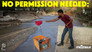 No Permission Needed: Mutual Aid in an Age of Climate Catastrophe