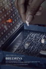 Bredrins