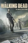 Żywe trupy / The Walking Dead